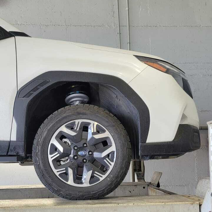 ערכת הגבהה BILSTEIN TerraSport | פורסטר דור 6-5